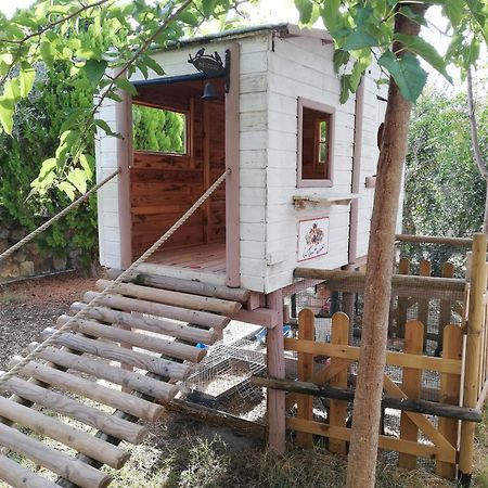 Azienda Agrituristica Le Betulle รีโอตอร์โต ภายนอก รูปภาพ