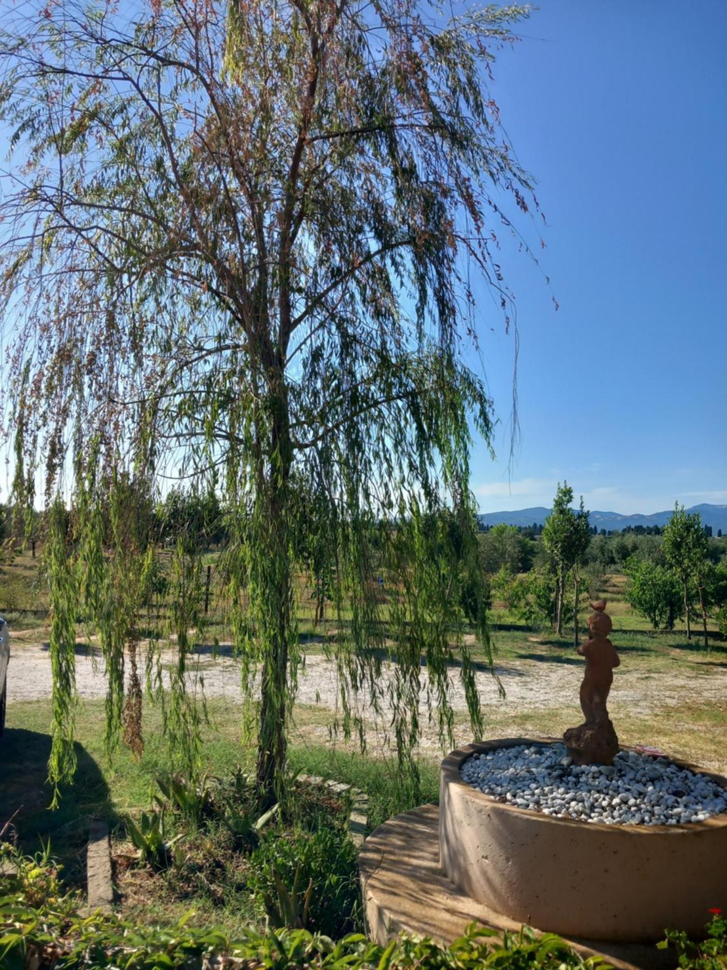 Azienda Agrituristica Le Betulle รีโอตอร์โต ภายนอก รูปภาพ