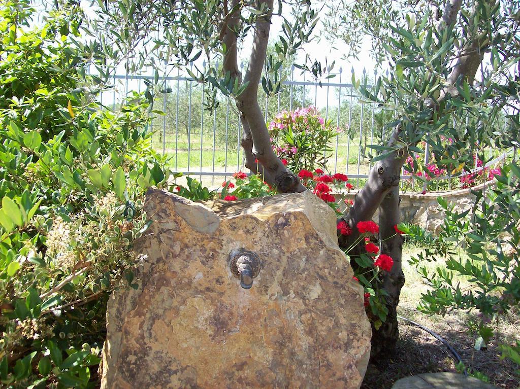 Azienda Agrituristica Le Betulle รีโอตอร์โต ภายนอก รูปภาพ