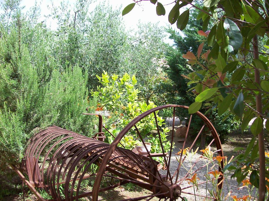 Azienda Agrituristica Le Betulle รีโอตอร์โต ภายนอก รูปภาพ