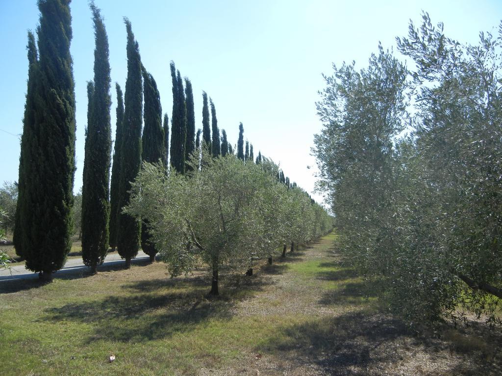 Azienda Agrituristica Le Betulle รีโอตอร์โต ภายนอก รูปภาพ