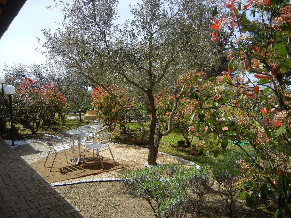 Azienda Agrituristica Le Betulle รีโอตอร์โต ภายนอก รูปภาพ